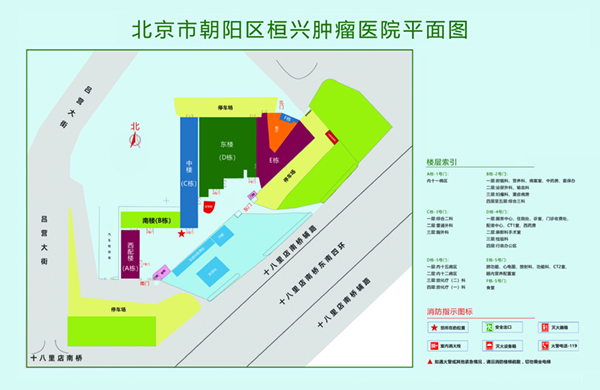 抽插网站北京市朝阳区桓兴肿瘤医院平面图